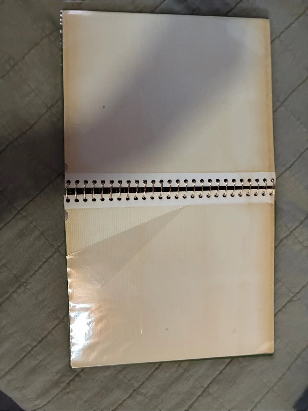 Vintage Green Photo Album - Home Accents